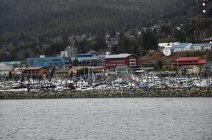a harbour packed with small boats photo
