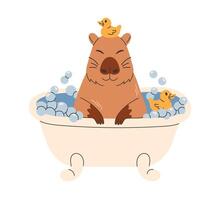 Cute funny capybara swimming with rubber duck in bath. Happy capy bathing, resting, relaxing in water. Flat illustration isolated on white background. vector