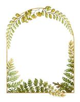 Arched frame with fern leaves botanical card template in earth tone. Hand drawn watercolor floral element with thin gold. Perfect for the use of ecological material and modern designs. vector
