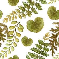 Fern leaves seamless pattern on white background. Hand drawn watercolor botanical surface with textured prehistoric foliage. Perfect for the use of ecological material and sustainable designs. vector