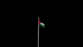 Animated Palestine Flag - Honoring Unity and Freedom video