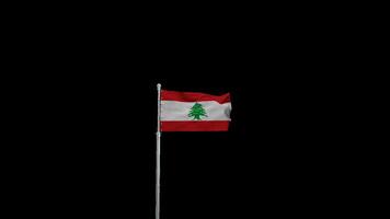 Smooth Waving Lebanon Flag Animation for Digital Projects video