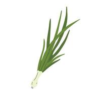 Green onion isolated on white background. illustration in flat style. vector