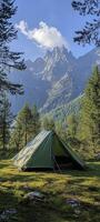 tent in grass surrounded by pine trees photo