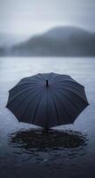 umbrella with dark blue and black colors in the water photo