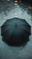 an umbrella black in the water photo