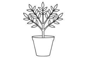 Line Drawing of a Bonsai Tree in a Pot vector