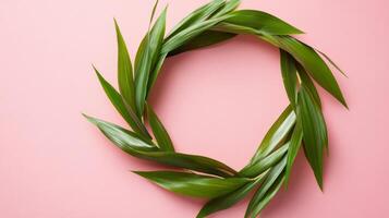 Green leaf wreath on pink background, minimalist nature design and environmental concept photo