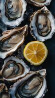oysters on ice with lemon slice, culinary sea food presentation. gourmet dining concept photo