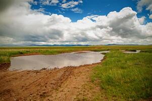 A dirt road, covered with puddles after the rain, runs through green steppes under a beautiful cloudy sky with a horizon of mountains in the distance. photo