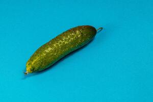 Fresh green cucumber resting on a vibrant blue background photo