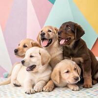 Adorable group of puppies playing together studio setting pet photography colorful background close-up view joyful concept photo