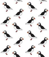 Seamless pattern of color sketch puffin vector