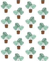 Seamless pattern of monstera in pots vector