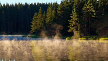 Captivating Scenic Footage of Mist Rising Over Serene Lake Surrounded by Trees video