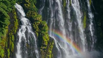 Captivating Waterfall Footage with Rainbow and Lush Greenery video