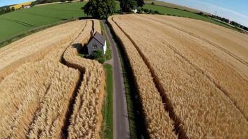 Aerial Footage of Golden Wheat Fields Surrounding a Quaint Cottage video