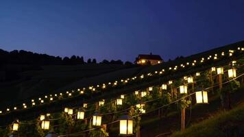 Vineyard Night Scene with Lanterns Illuminating Rows of Grapevines Footage video