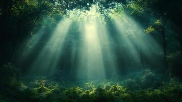 Mystical forest scene dawn with sunbeams piercing through a canopy of towering trees creating a dreamlike misty woodland ambiance photo