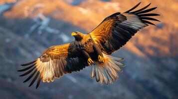 Golden eagle soaring over rugged mountain range its sharp talons and outstretched wings glowing under the golden light of a setting sun captured with a telephoto lens for dynamic motion photo