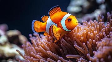 Vibrant clownfish nestled within tentacles of a sea anemone in a coral reef its orange and white body glowing under soft underwater light captured with a macro lens for vivid close up detail photo