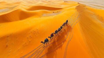 Aerial view of camel caravan moving through rippling dunes of Rub' al Khali Desert their tracks forming intricate lines across the golden expanse captured with a drone camera for dynamic realism photo