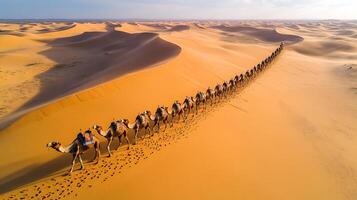 Aerial shot of caravan of camels walking in a line through undulating desert dunes their footprints trailing behind under warm afternoon light captured with a drone camera for dynamic composition photo
