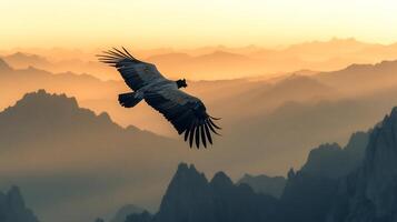 Andean condor gliding over rugged mountain range its massive wingspan silhouetted against the soft hues of a high altitude sunrise captured with a telephoto lens for dramatic scale photo
