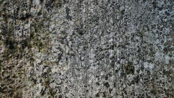 concrete cement texture pattern material photo
