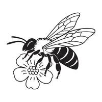 Honey Bee icon design vector