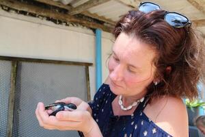 A young woman tourist holds a small newborn turtle in her hands. A worker at a turtle farm examines a baby turtle in its nest. Turtle farm in Sri Lanka photo
