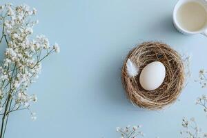 An organic egg in a bird nest with hay and feathers, ideal for eco friendly photo