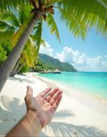 Tropical beach vacation scene with palm trees and ocean view for summer getaway photo