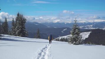 A man with a backpack travels in the mountains in winter. Carpathian mountain range. The concept of travel and active lifestyle. 4K video