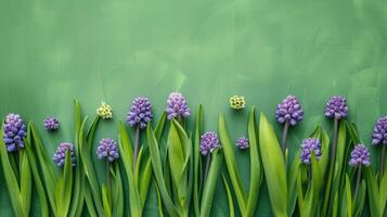 Spring flowers border. Fresh green leaves and purple buds creating a frame, banner with copy space. Springtime natural organic color background with empty place for text advertising, sales, greetings. photo
