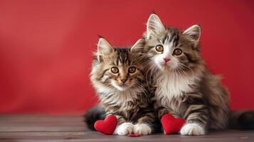 Cats in love Valentines Day banner with copy space. Pets surrounded by heart shaped decorations. They rest peacefully on a wooden surface, creating a warm and loving atmosphere photo