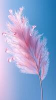 Pink feather with water droplets on light blue background, soft lighting photo