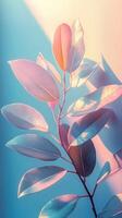 Elegant Plant with soft pink and blue pastel colors, on textured background, photo