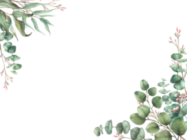 Eucalyptus seeded, silver dollar tree plant with Laurel branch and twig with pink buds and flowers rectangular frame. Watercolor greeting card templated. Painted illustration isolated from background png