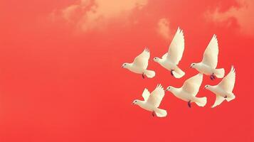 Six white doves flying in the air photo