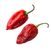 two red chili is isolated on transparent background png