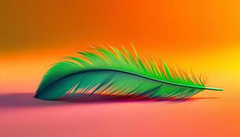 Emerald Feather on a Vibrant Sunset Background with Soft Lighting and Gentle Shadows photo