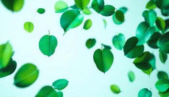Abstract Green Leaves Floating Against Pale Blue Background Minimalist Nature Art photo