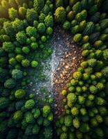 Aerial View of a Forest Divided by a Path of Rocks and Sparse Vegetation photo