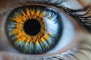 Close-Up of Human Eye with Vibrant Iris Patterns for Medical and Artistic Design photo