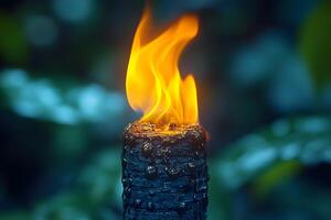 Mystical Torch Flame in Dark Forest for Adventure and Exploration Themes photo