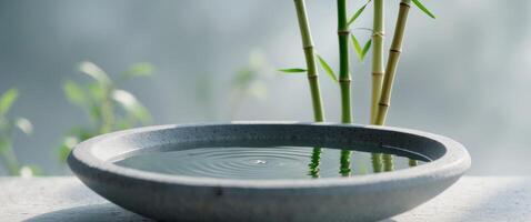 Serene stone bowl with water and bamboo in a tranquil setting photo