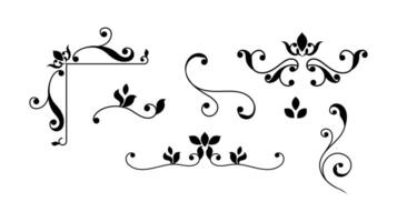 Set floral elements for design invitations on black colour vector