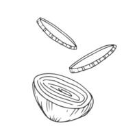 Onion hand drawn set. Full, rings and half cutout slice. Outline ink slyle vector