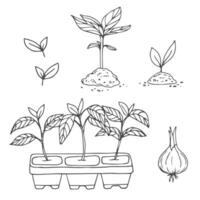 Sprouts set in sketch style. Garden seedlings vector